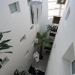 Palm Apartment Lido di Jesolo