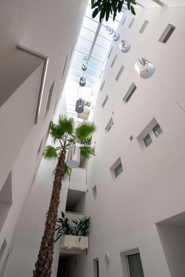 Palm Apartment